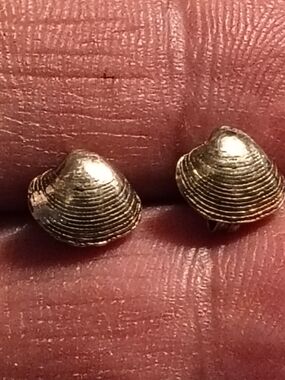 Sterling Silver Handmade Clam Shell Stud Earrings* Very Detailed Unsigned
